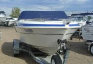VIEW HAINES HUNTER BOWRIDER IMAGE 4